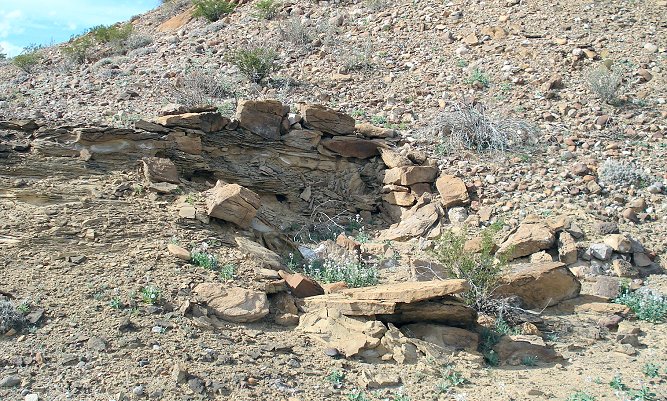 Mena site