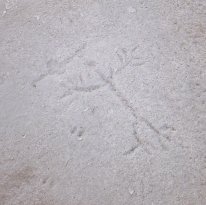 Atlatl man