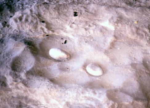 Metates