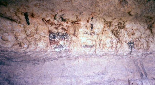 Panel