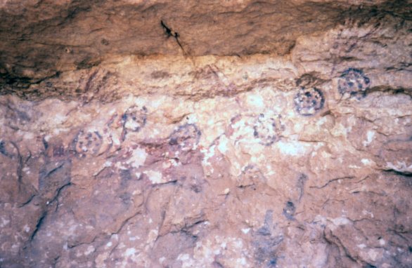 Pods