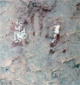 Hand print
