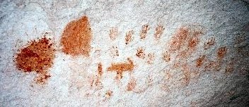 Coyote and hands
