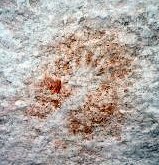 Hand