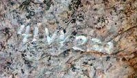Site number