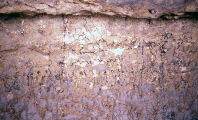 Panel left