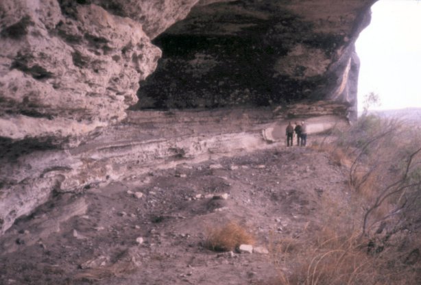 Skunk Camp Shelter
